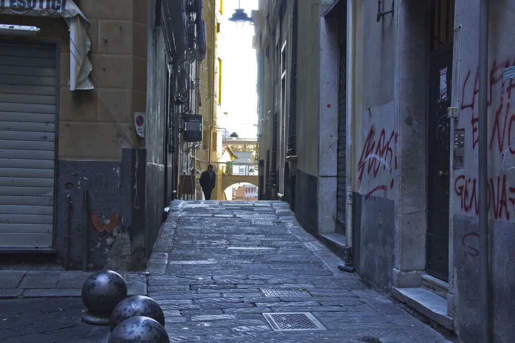 alley, alleyway, street